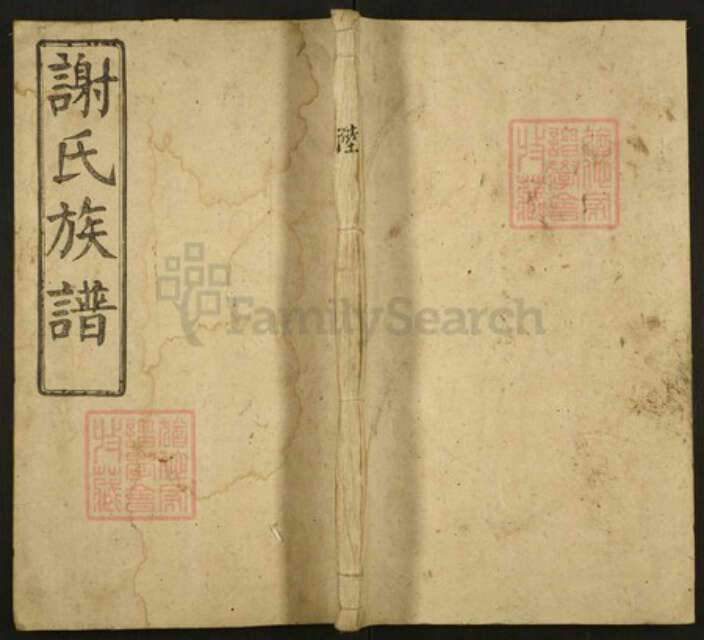 浙江省绍兴谢氏雅道堂族谱-谢氏族谱.pdf电子版缩略图