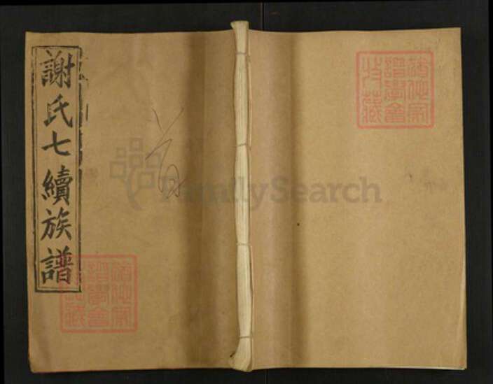 湖南省邵阳市谢氏族谱-谢氏七续族谱.pdf电子版缩略图