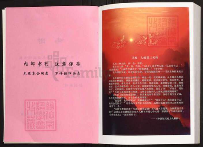 广东省汕尾市海丰县陈氏族谱-海丰星聚堂陈氏族谱.pdf电子版预览图3