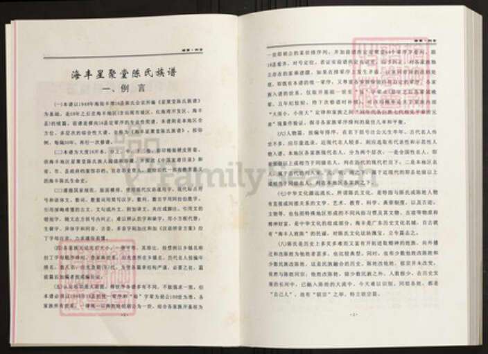 广东省汕尾市海丰县陈氏族谱-海丰星聚堂陈氏族谱.pdf电子版预览图5