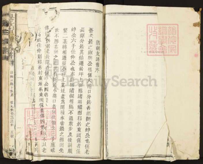 江西省宜春市丰城市白土镇吴氏族谱-吴氏族谱.pdf电子版预览图2