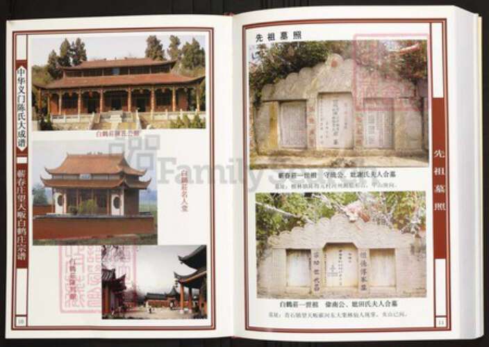 湖北省黄冈市蕲春县青石镇陈氏族谱-中华义门陈氏大成谱蕲春庄望天畈白鹤庄宗谱.pdf电子版预览图5