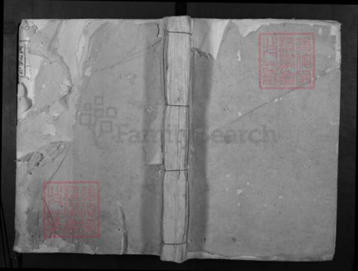 江西省赣州市宁都县李氏族谱-东山李氏十一修族谱.pdf电子版缩略图