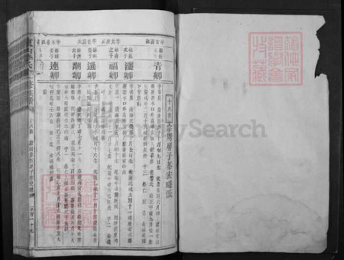 江西省赣州市宁都县李氏族谱-东山李氏十一修族谱.pdf电子版预览图1