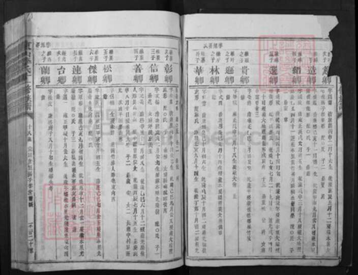 江西省赣州市宁都县李氏族谱-东山李氏十一修族谱.pdf电子版预览图2