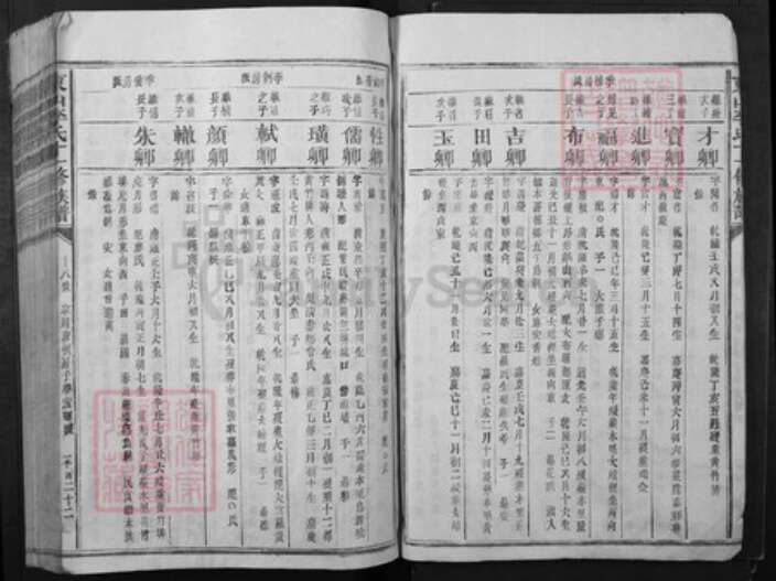 江西省赣州市宁都县李氏族谱-东山李氏十一修族谱.pdf电子版预览图4