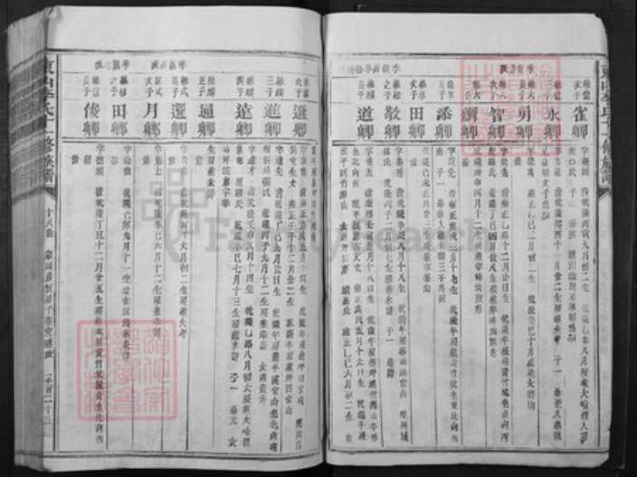 江西省赣州市宁都县李氏族谱-东山李氏十一修族谱.pdf电子版预览图5