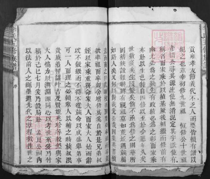 江西省抚州市广昌县李氏族谱-李氏五修族谱[不分卷].pdf电子版预览图2