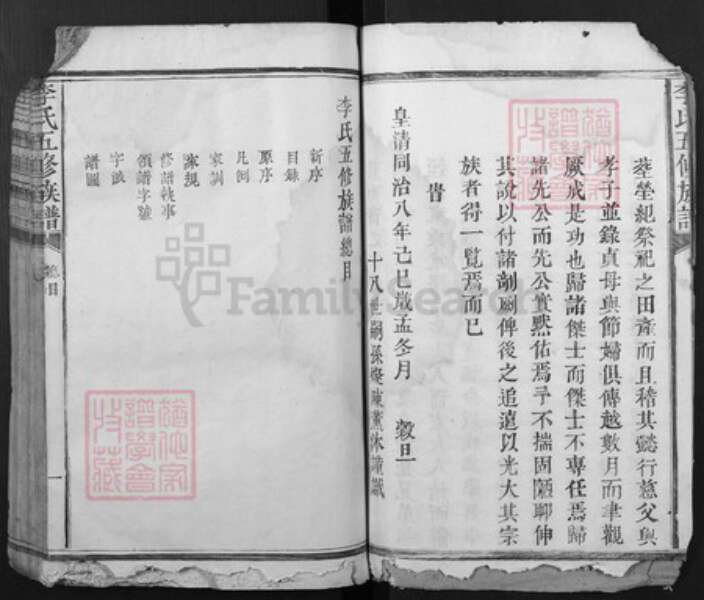 江西省抚州市广昌县李氏族谱-李氏五修族谱[不分卷].pdf电子版预览图3