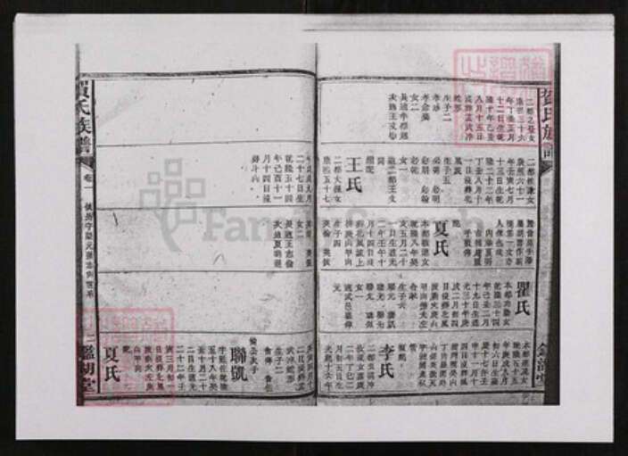 江西省贺氏鉴湖堂族谱-贺氏族谱.pdf电子版预览图2