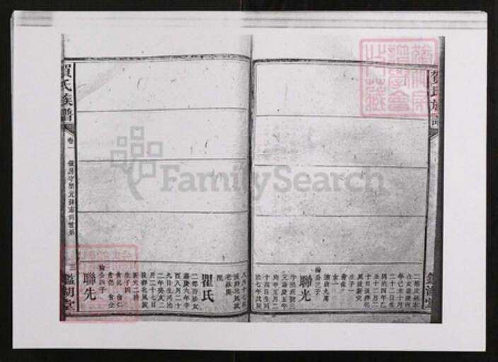 江西省贺氏鉴湖堂族谱-贺氏族谱.pdf电子版预览图3