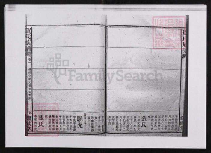 江西省贺氏鉴湖堂族谱-贺氏族谱.pdf电子版预览图4