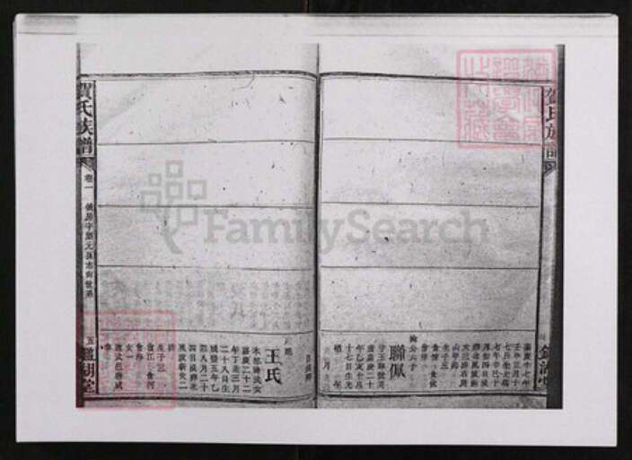 江西省贺氏鉴湖堂族谱-贺氏族谱.pdf电子版预览图5