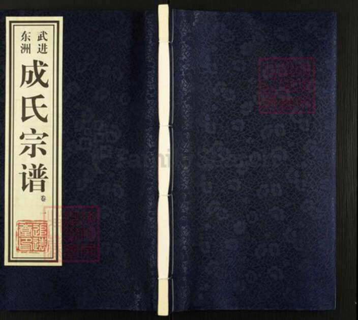 湖北省孝感市汉川市成氏族谱-成氏宗谱.pdf电子版缩略图