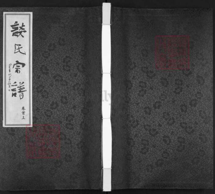 江苏省常州市武进县谈氏族谱-谈氏宗谱.pdf电子版缩略图