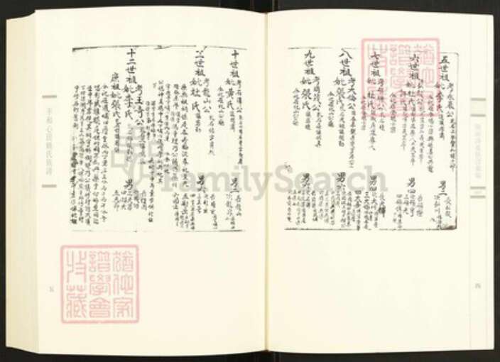 福建省漳州市长泰县枋洋镇连氏族谱-闽南涉台族谱汇编.第88~95册.上党连氏江都族谱等.pdf电子版预览图4