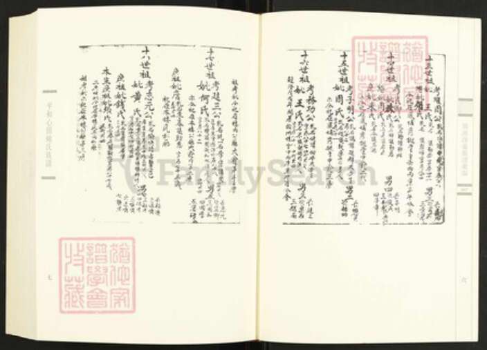 福建省漳州市长泰县枋洋镇连氏族谱-闽南涉台族谱汇编.第88~95册.上党连氏江都族谱等.pdf电子版预览图5