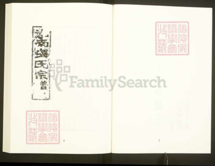 浙江省绍兴嵊州市王氏族谱-中国珍稀家谱丛刊彩绘宗谱.第22~25册.剡南王氏宗谱.pdf电子版预览图4