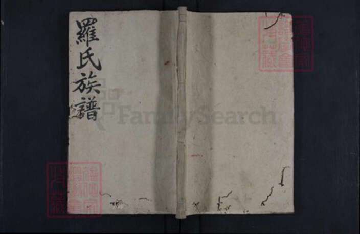 湖南省娄底市新化县罗氏族谱-罗氏四修族谱.pdf电子版缩略图