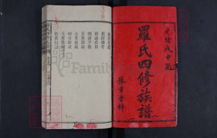 湖南省娄底市新化县罗氏族谱-罗氏四修族谱.pdf电子版预览图1