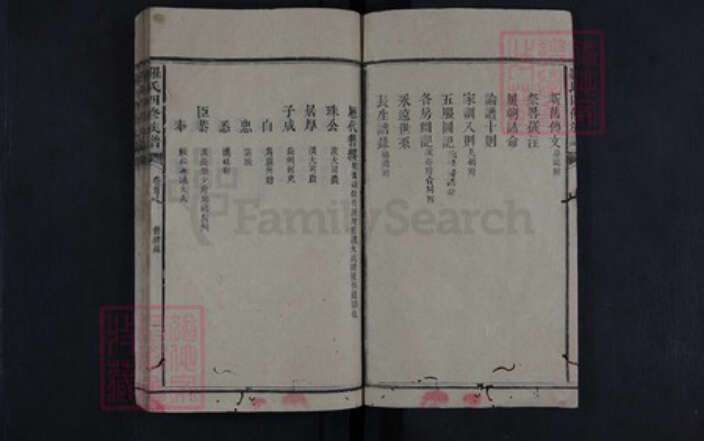 湖南省娄底市新化县罗氏族谱-罗氏四修族谱.pdf电子版预览图2