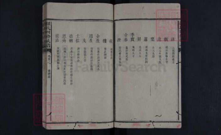 湖南省娄底市新化县罗氏族谱-罗氏四修族谱.pdf电子版预览图3