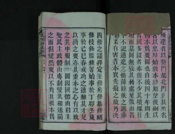 湖南省湘潭市湘乡市湘乡王氏族谱-王氏四修族谱.pdf电子版预览图2