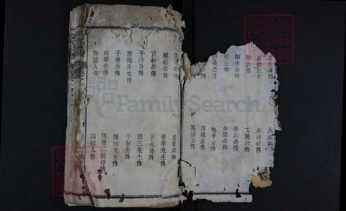 湖北省黄冈市红安县杏花乡杨氏族谱-杨氏宗谱.pdf电子版预览图1