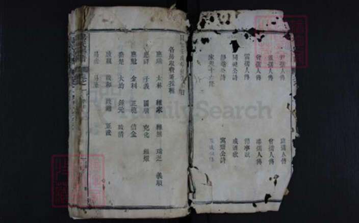 湖北省黄冈市红安县杏花乡杨氏族谱-杨氏宗谱.pdf电子版预览图2