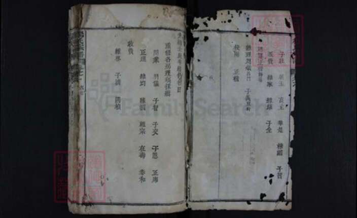 湖北省黄冈市红安县杏花乡杨氏族谱-杨氏宗谱.pdf电子版预览图3