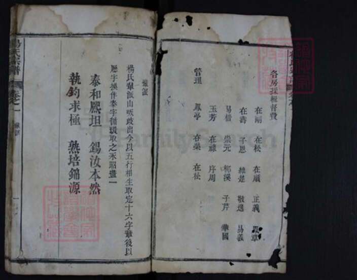 湖北省黄冈市红安县杏花乡杨氏族谱-杨氏宗谱.pdf电子版预览图5