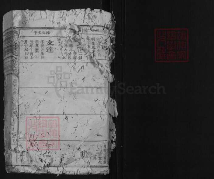 江西省赣州市瑞金市罗氏族谱-瑞金密溪罗氏六修族谱.pdf电子版预览图1