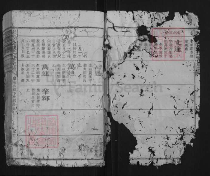 江西省赣州市瑞金市罗氏族谱-瑞金密溪罗氏六修族谱.pdf电子版预览图2