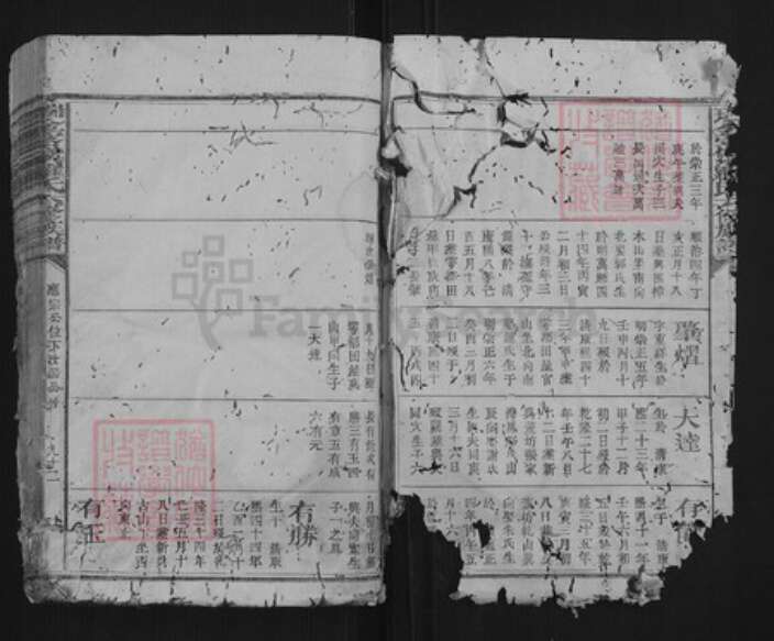 江西省赣州市瑞金市罗氏族谱-瑞金密溪罗氏六修族谱.pdf电子版预览图3