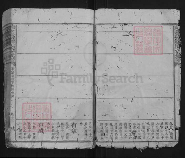 江西省赣州市瑞金市罗氏族谱-瑞金密溪罗氏六修族谱.pdf电子版预览图4