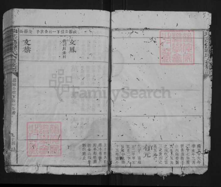 江西省赣州市瑞金市罗氏族谱-瑞金密溪罗氏六修族谱.pdf电子版预览图5