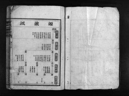 浙江丁氏族谱-丁氏宗谱 [不分卷].pdf电子版预览图1