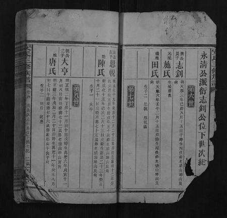 湖南安氏族谱-安氏三修族谱.pdf电子版预览图2