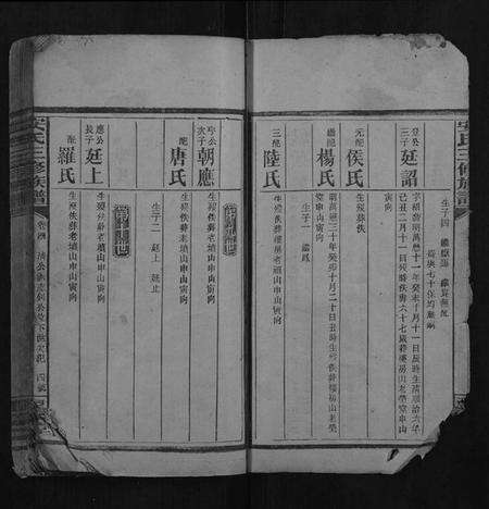 湖南安氏族谱-安氏三修族谱.pdf电子版预览图4