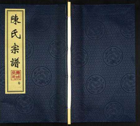 江苏陈氏族谱-壤里陈氏宗谱.pdf电子版缩略图