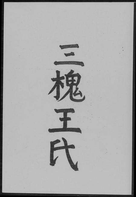 浙江王氏族谱-三槐王氏.pdf电子版缩略图