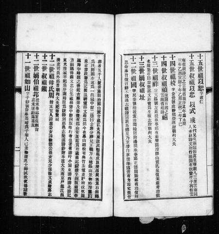 江苏安氏族谱-[安氏族谱].pdf电子版预览图4