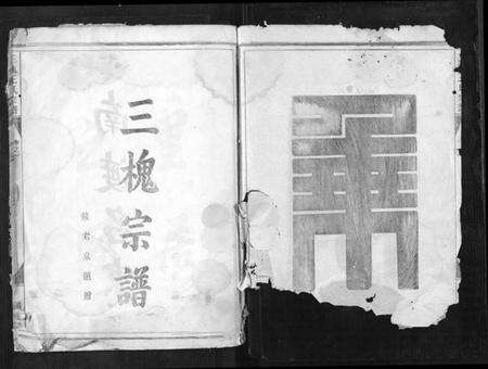 浙江王氏族谱-三槐王氏宗谱[4卷].pdf电子版预览图2