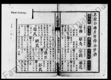 湖南卜氏族谱-卜氏族谱.pdf电子版预览图1