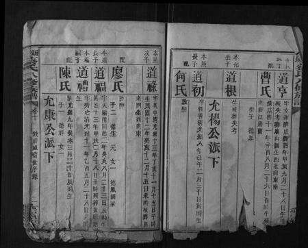 湖南蔡氏族谱-新城蔡氏八修族谱.pdf电子版预览图2