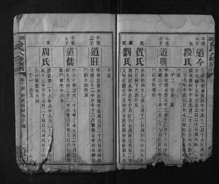 湖南蔡氏族谱-新城蔡氏八修族谱.pdf电子版预览图3