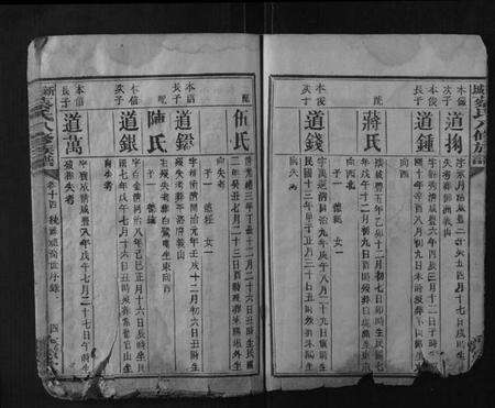 湖南蔡氏族谱-新城蔡氏八修族谱.pdf电子版预览图4