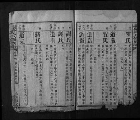 湖南蔡氏族谱-新城蔡氏八修族谱.pdf电子版预览图5