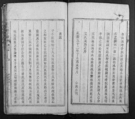 湖南蔡氏族谱-蔡氏抚子谱.pdf电子版预览图5