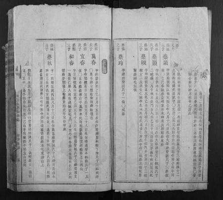 湖南蔡氏族谱-蔡氏族谱.pdf电子版预览图3